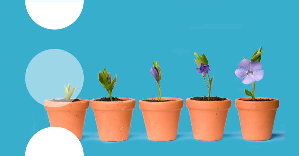 Blue banner with plant pots